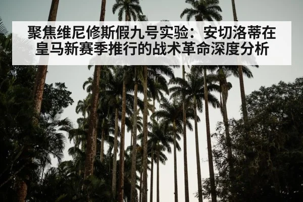 聚焦维尼修斯假九号实验:安切洛蒂在皇马新赛季推行的战术革命深度分析